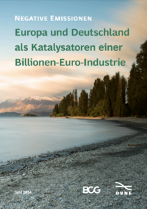 Cover der BCG DVNE Studie