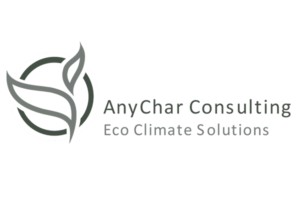 Logo Anychar Consulting